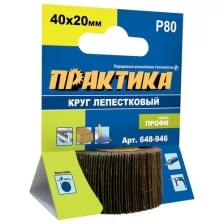 Практика Круг лепестковый с оправкой 40x20мм, P 80, 648-946 .